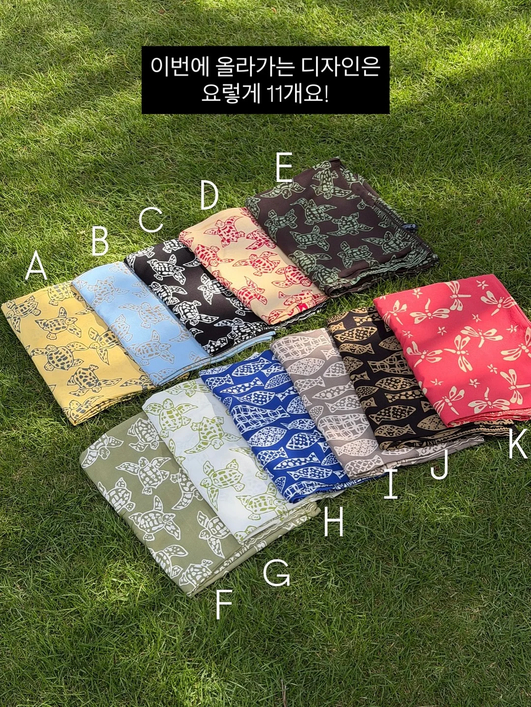 피타니 NMN & 오토파지딘 8