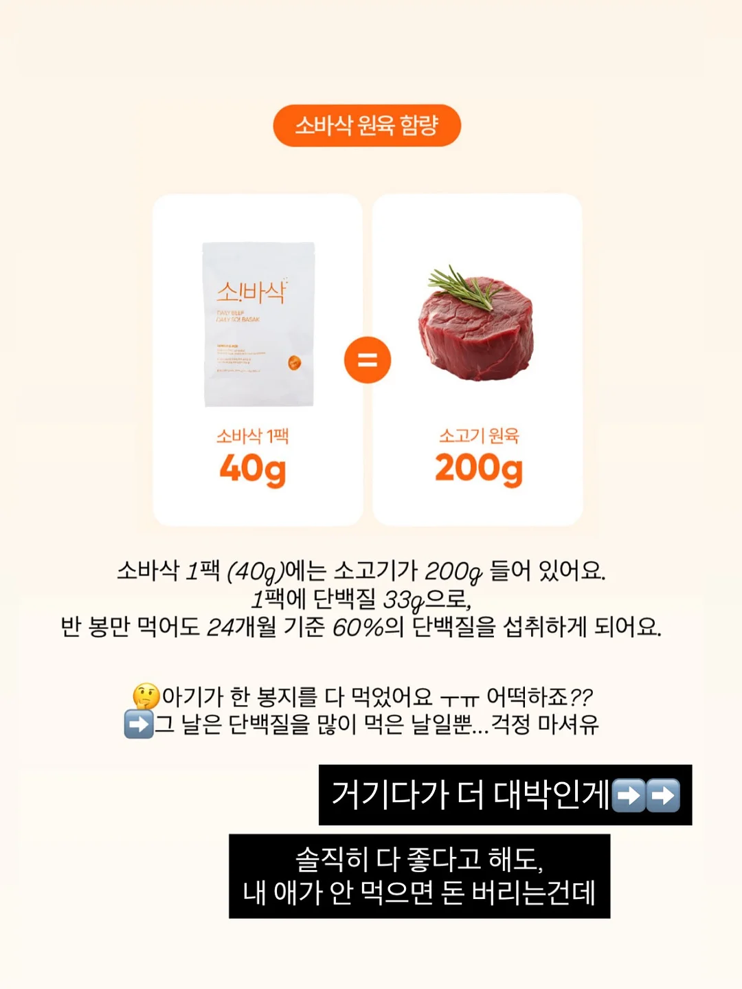 프리 cd풍 패스케이스 7