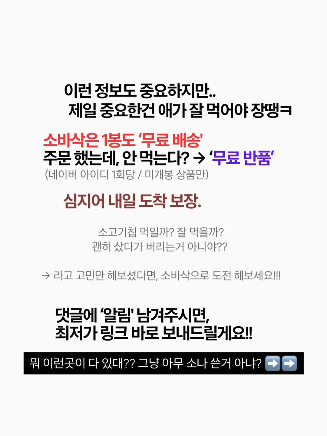 프리 cd풍 패스케이스 8