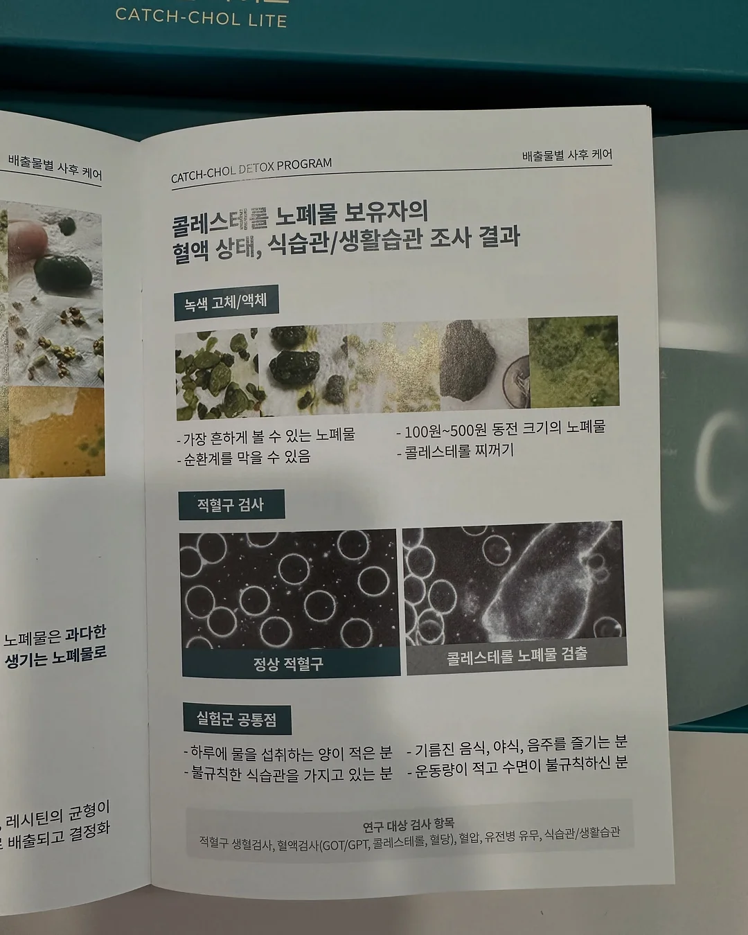 염전체험 8