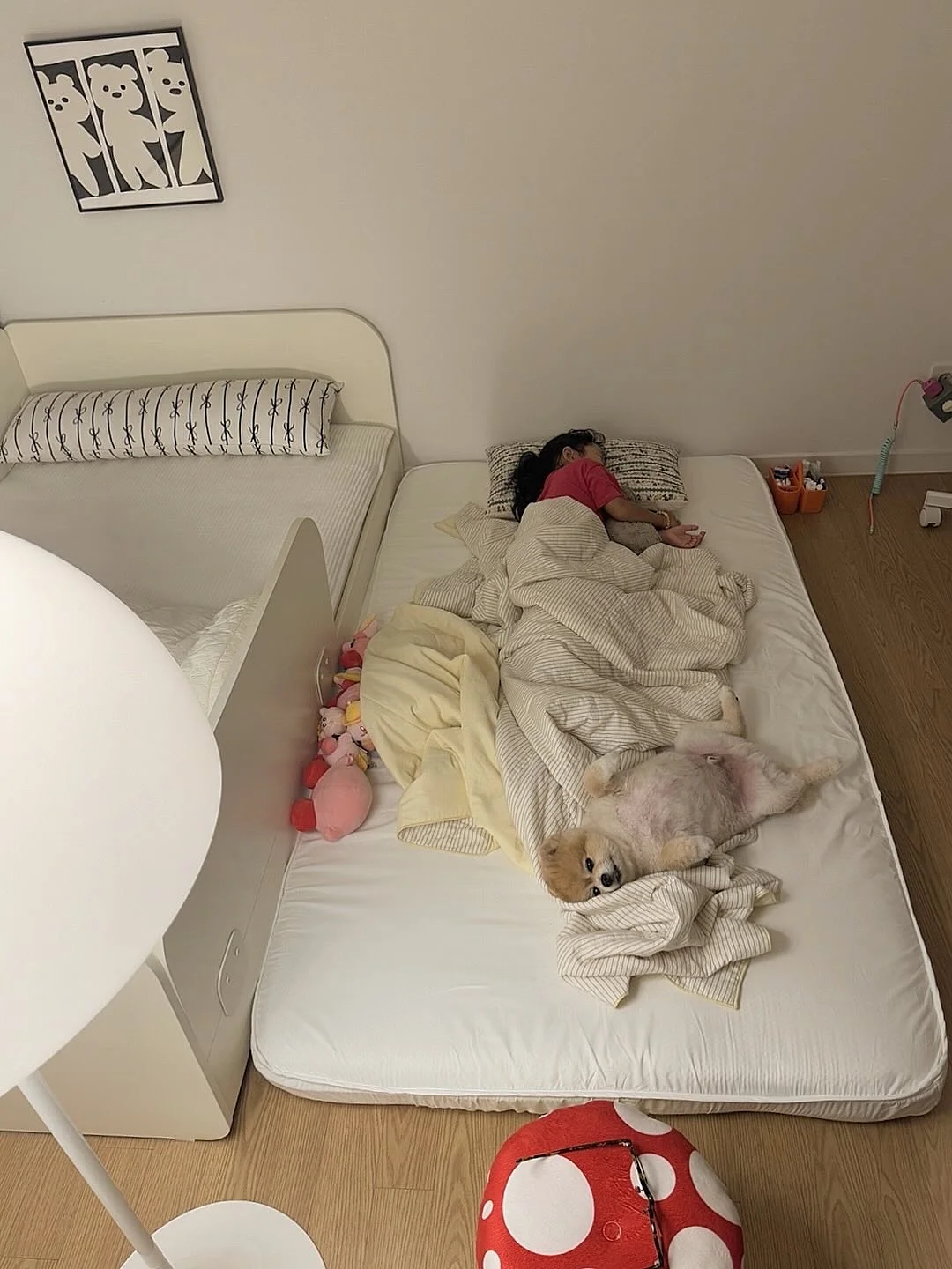 쿠보닉 공기압 주입기 4