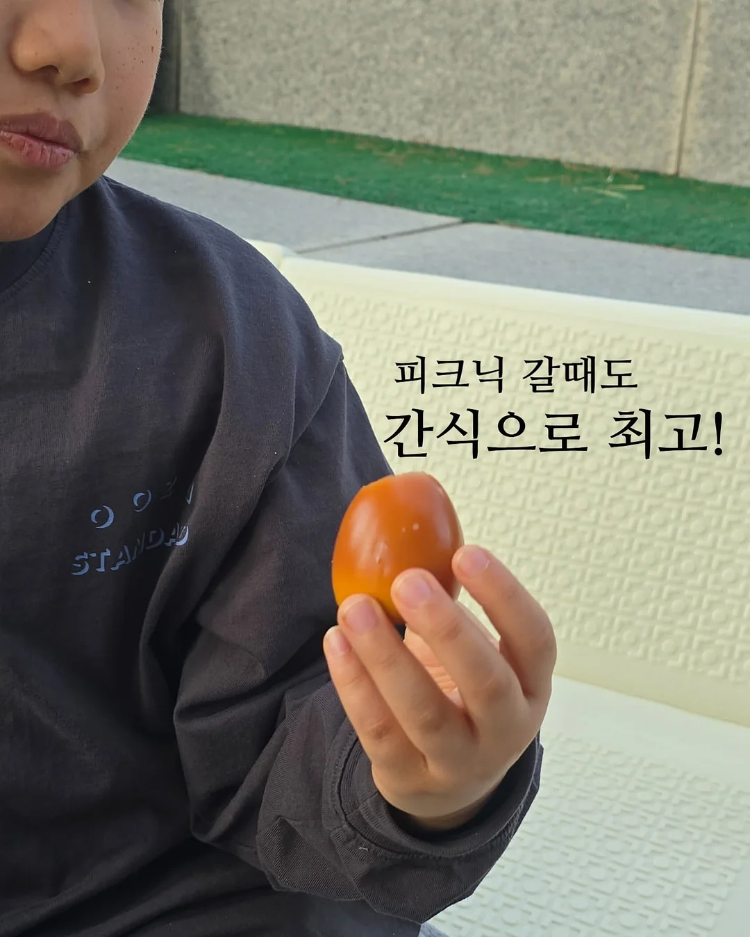 나인케어 사료 3