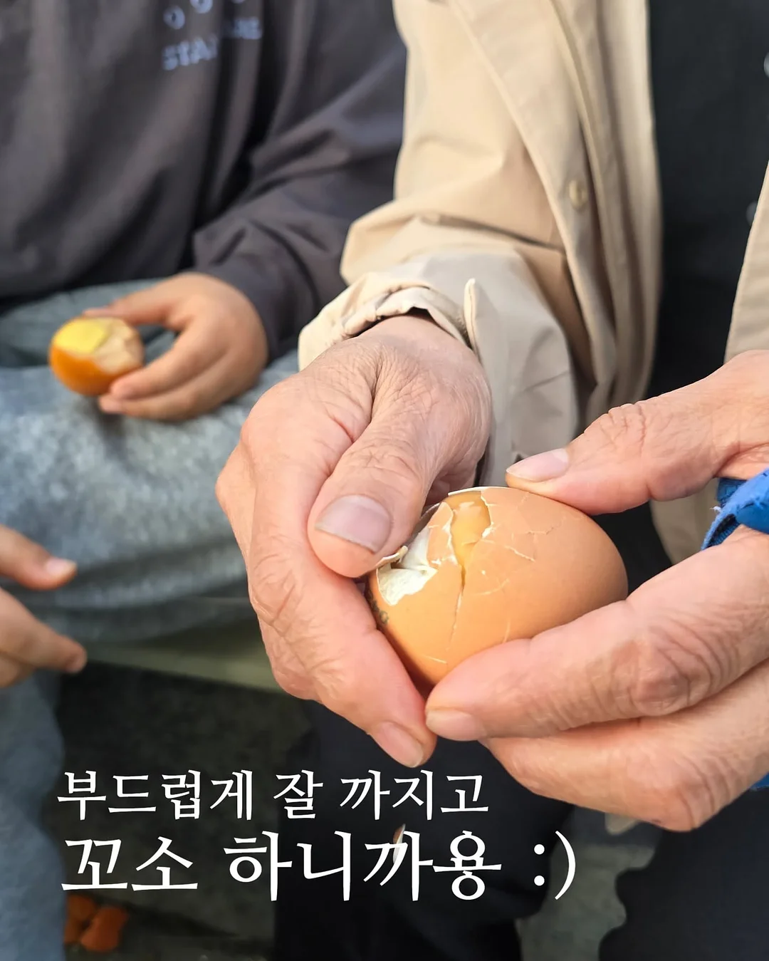 나인케어 사료 4