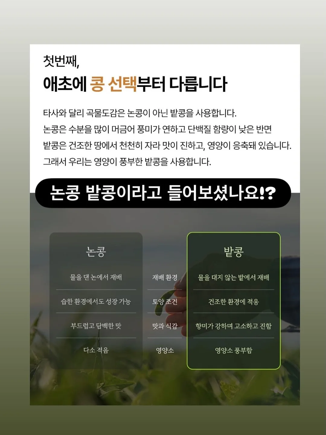 모어빈 웨딩촬영 보정 6