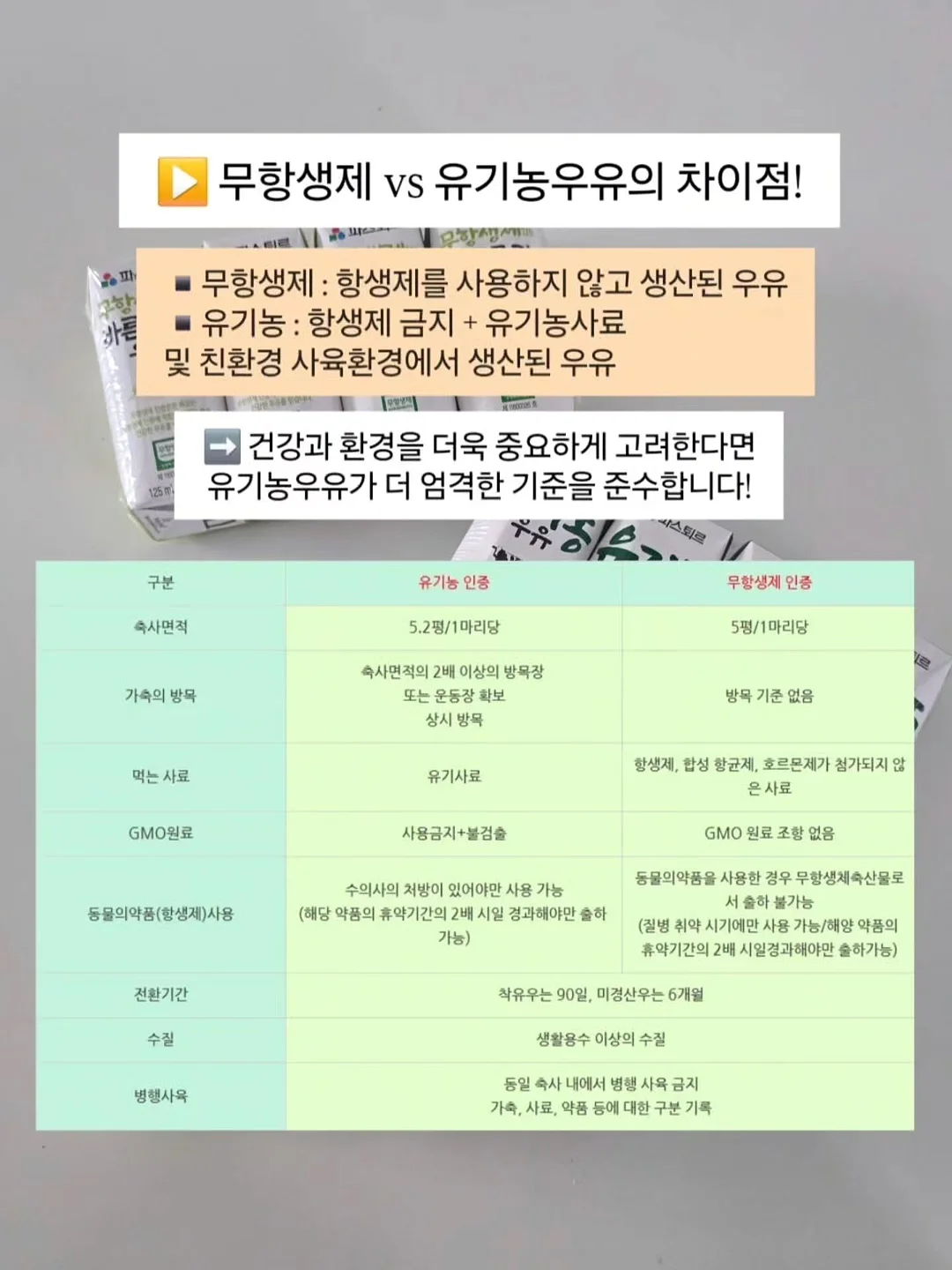 계절미식 국내산 샤넬 체리 11