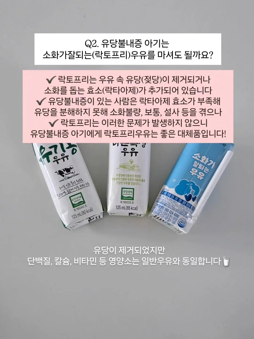 계절미식 국내산 샤넬 체리 16