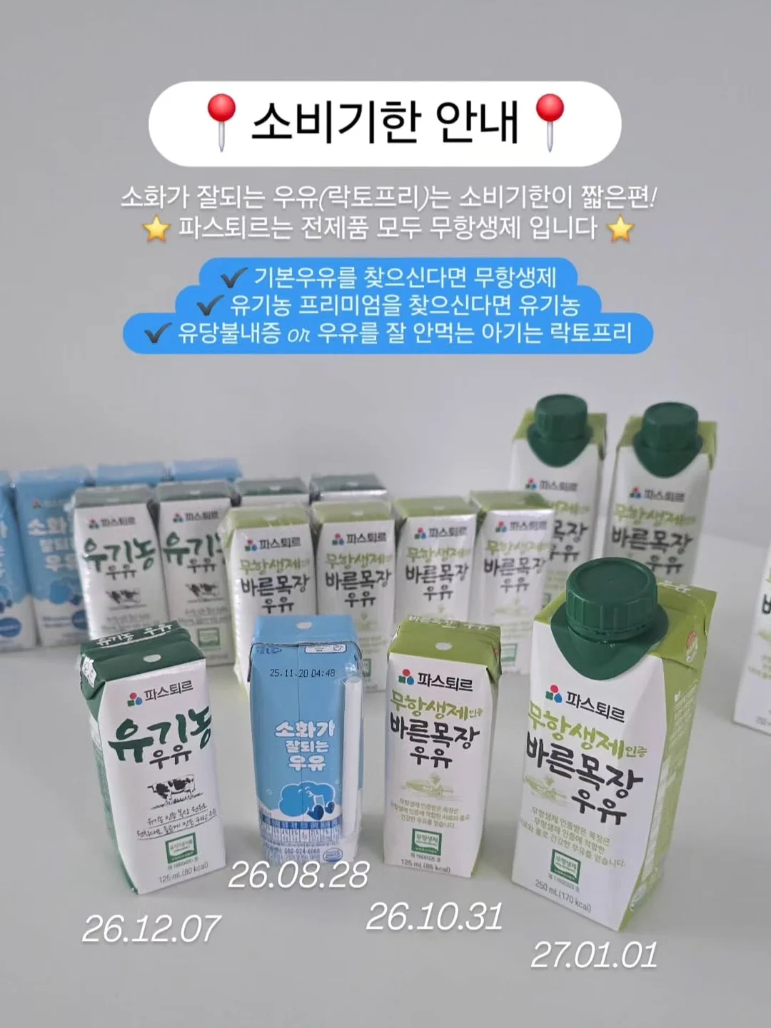 계절미식 국내산 샤넬 체리 5