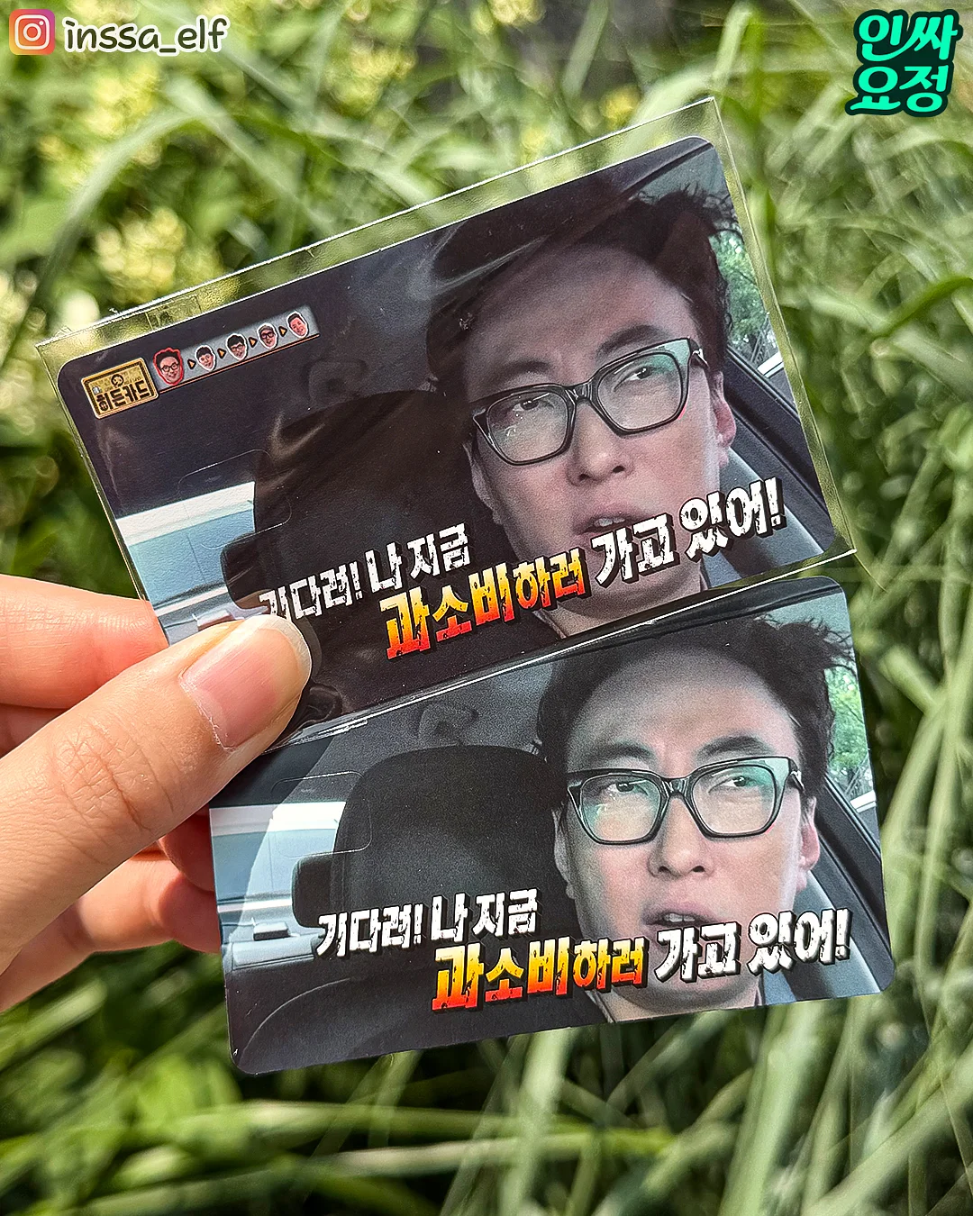 졸업프로필 커스텀프로필 6