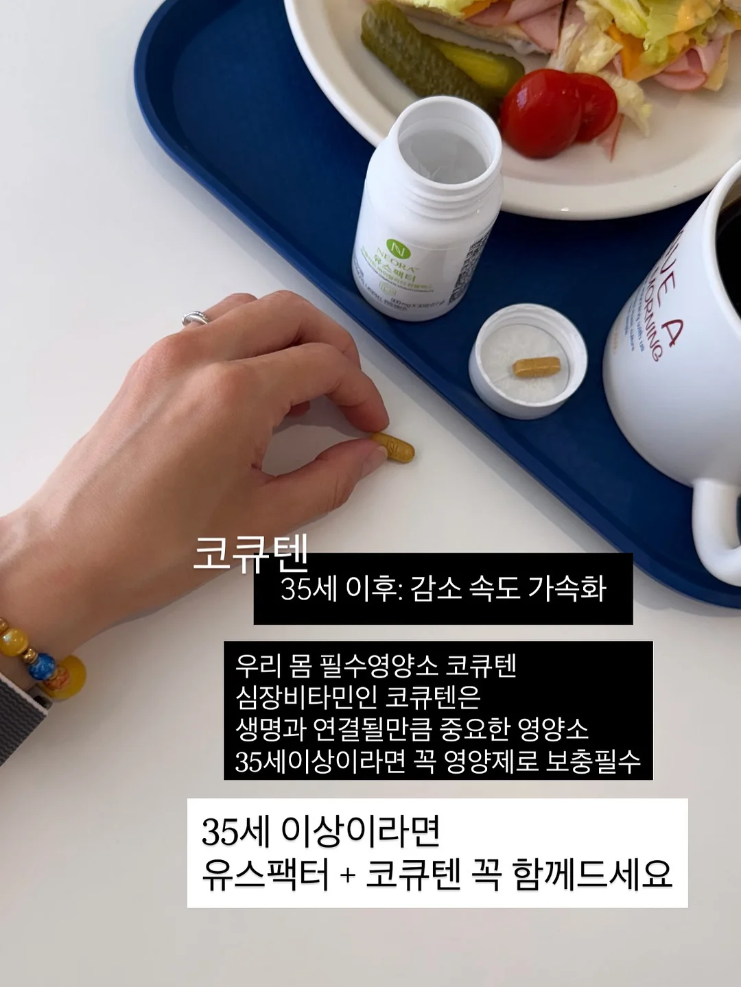 화식 13