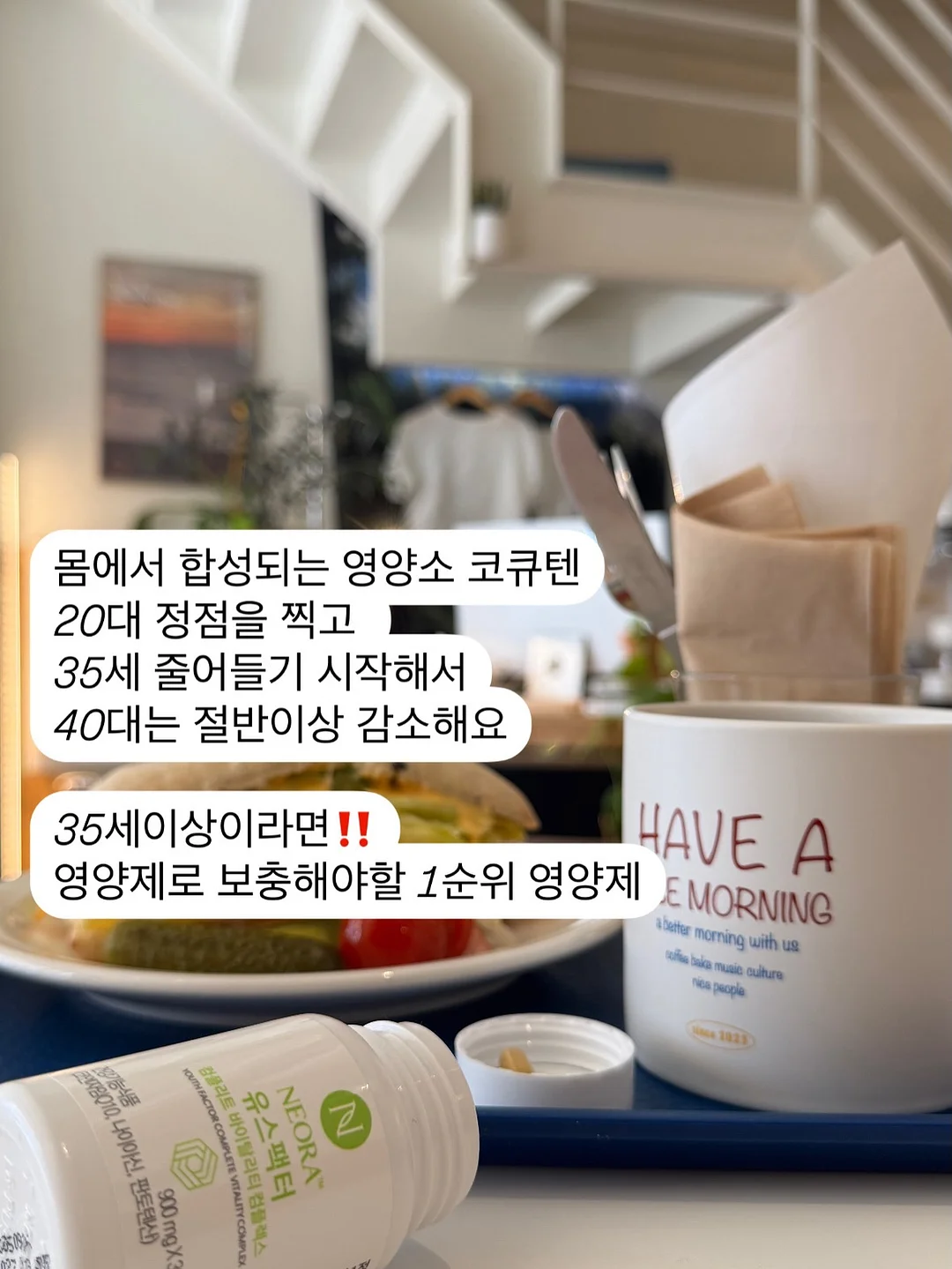 화식 14