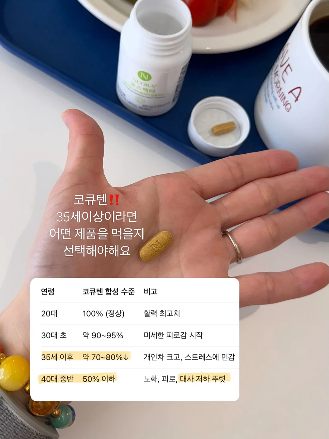 화식 15