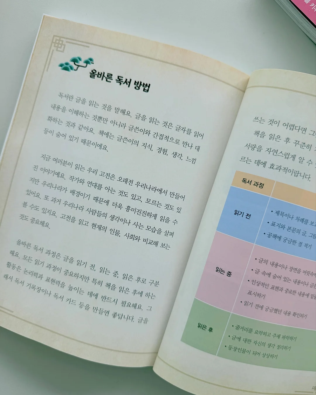 코튼 꾸안꾸 세트 10