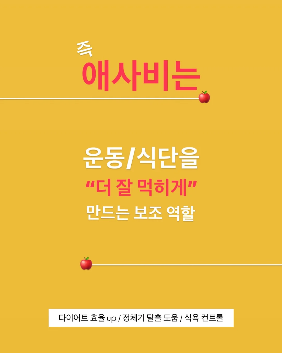 GRUA 아웃도어 선글라스 12