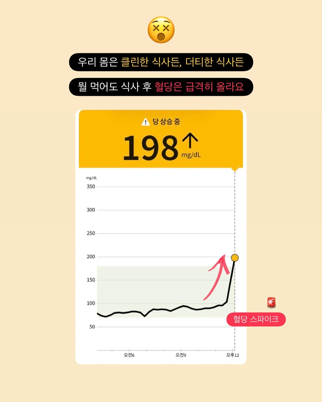 GRUA 아웃도어 선글라스 5