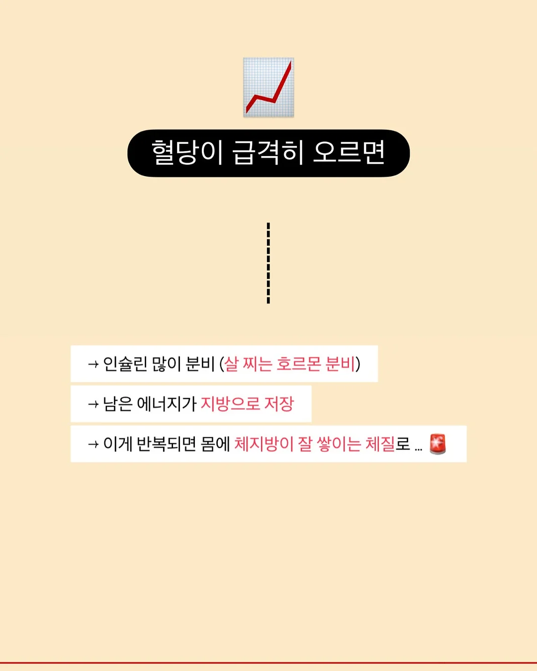 GRUA 아웃도어 선글라스 6