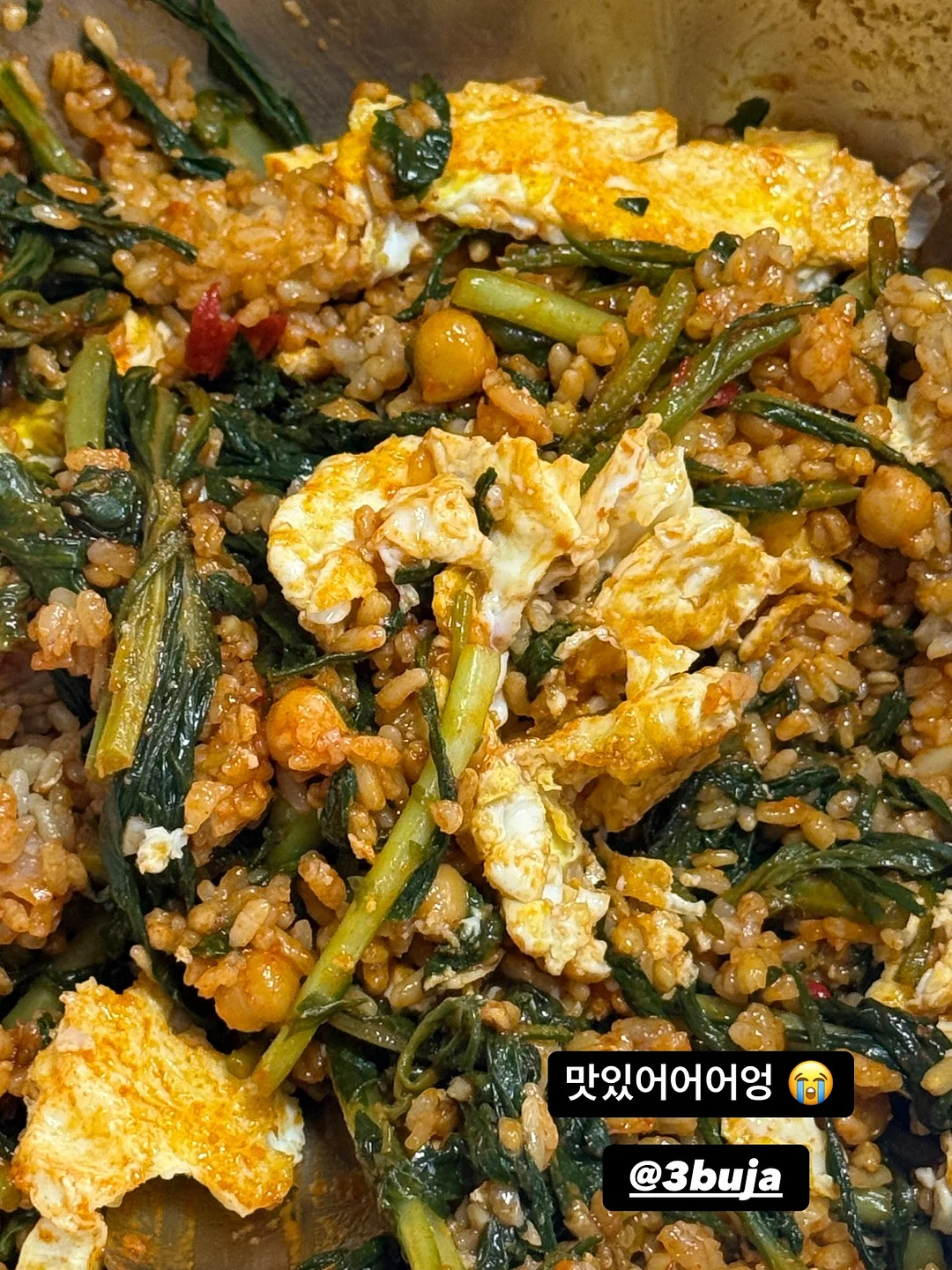 스투시 워터 숏츠 12