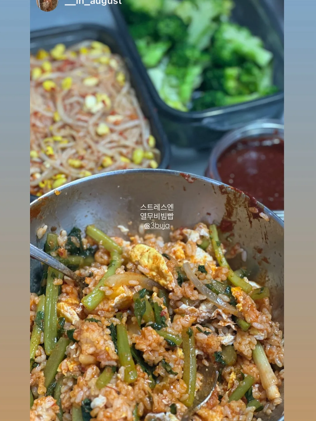 스투시 워터 숏츠 15