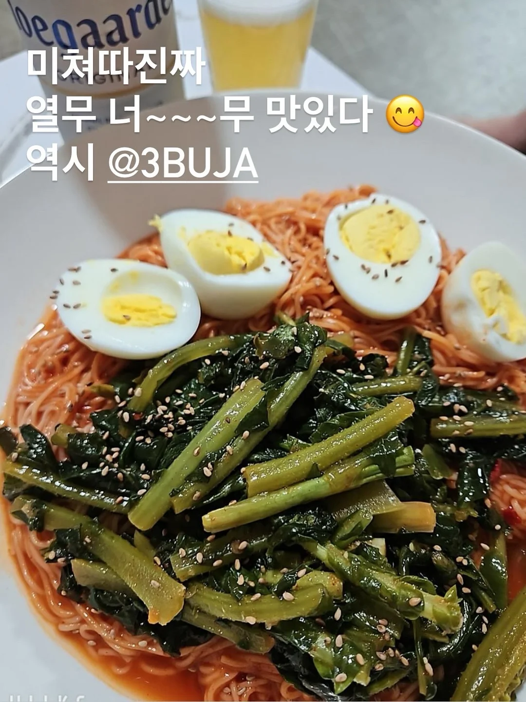 스투시 워터 숏츠 18