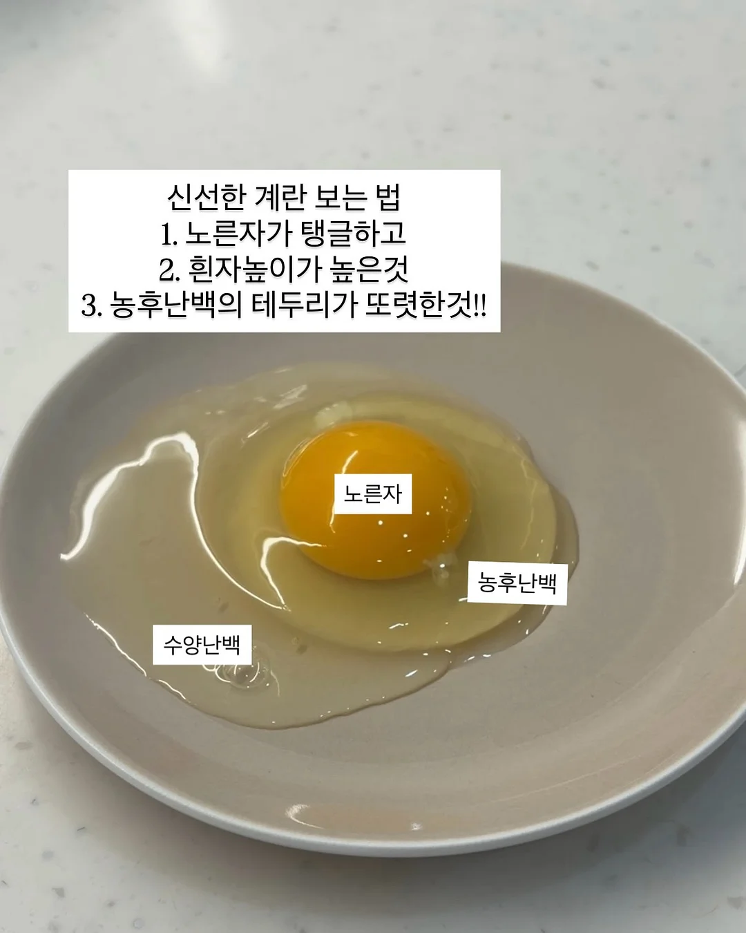 뮤뮤 보냉백 2