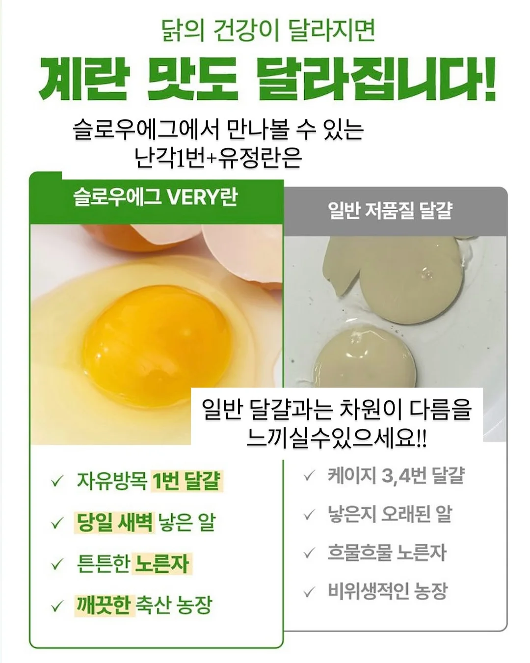 뮤뮤 보냉백 4