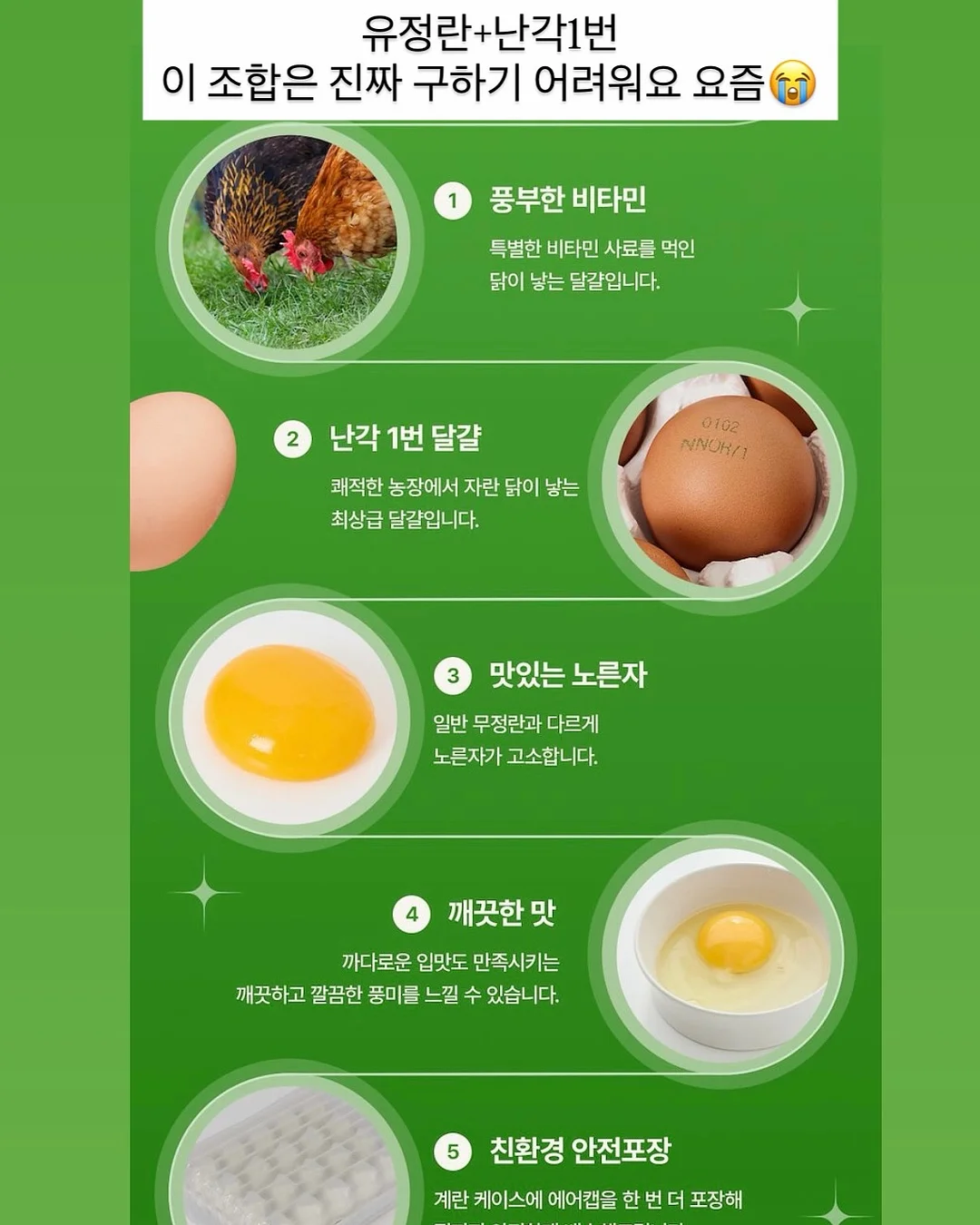 뮤뮤 보냉백 5