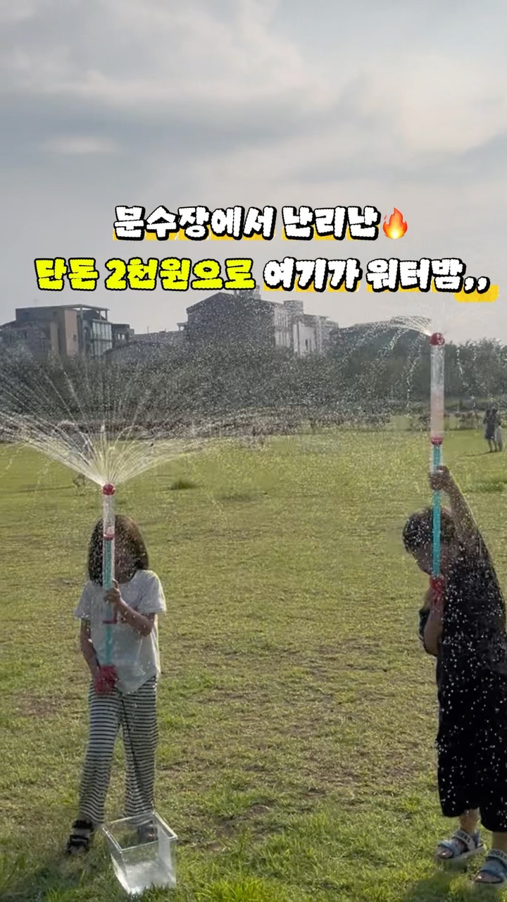 디올 미니백