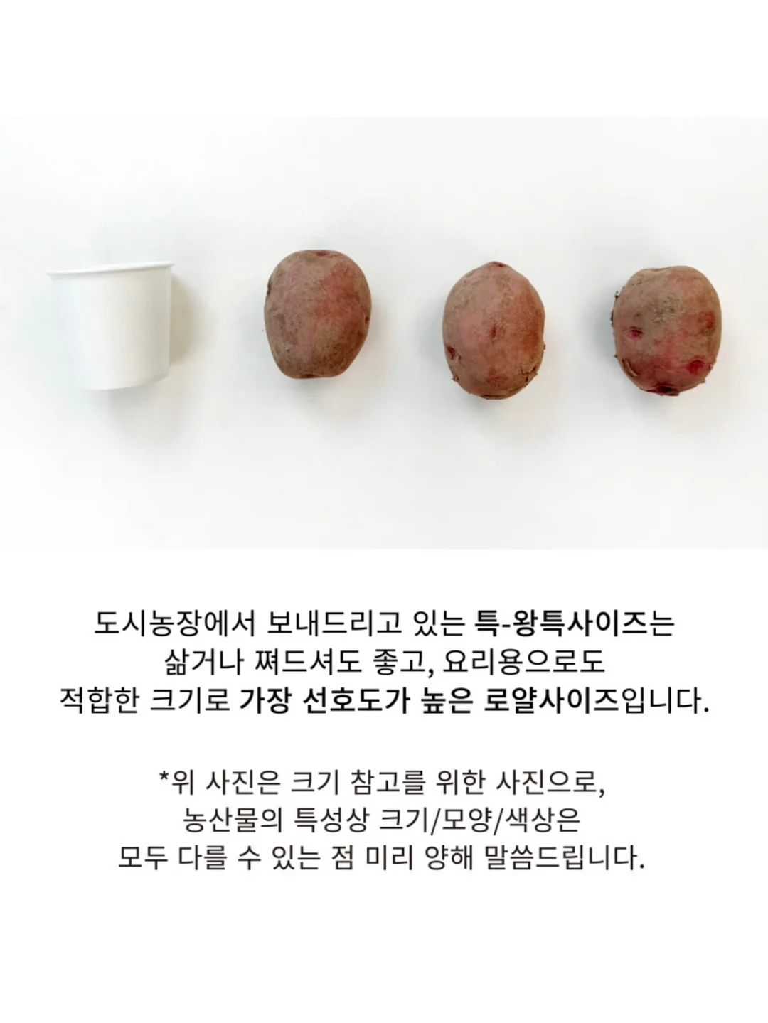 잇츠버닝 다이어트 보조제 13