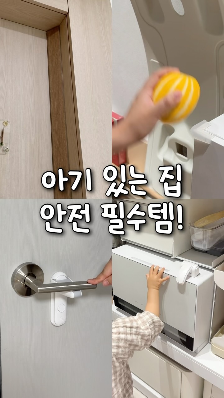 식물밥