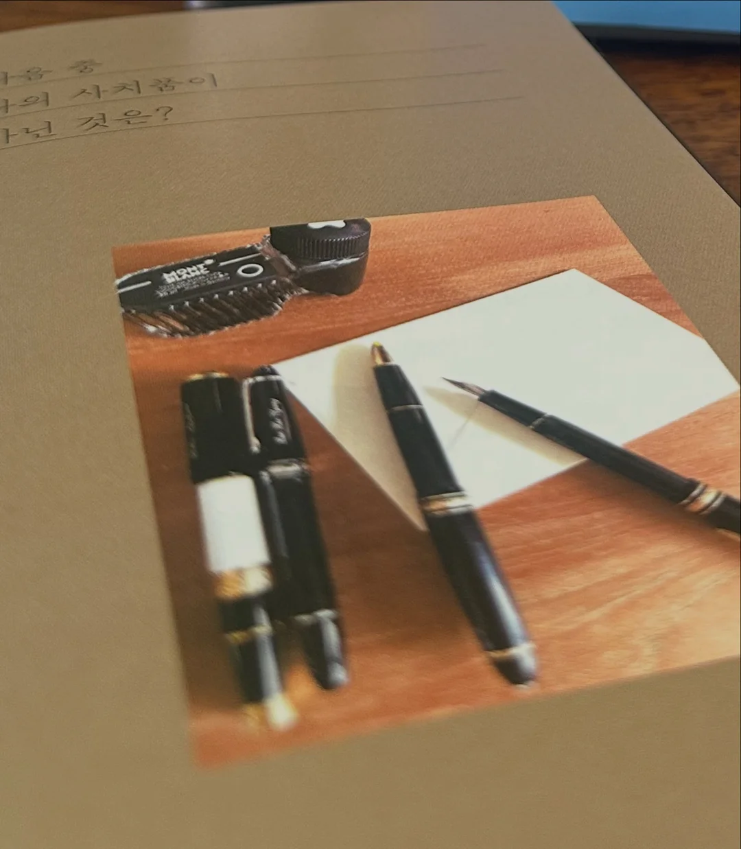 버뮤다팬츠 2