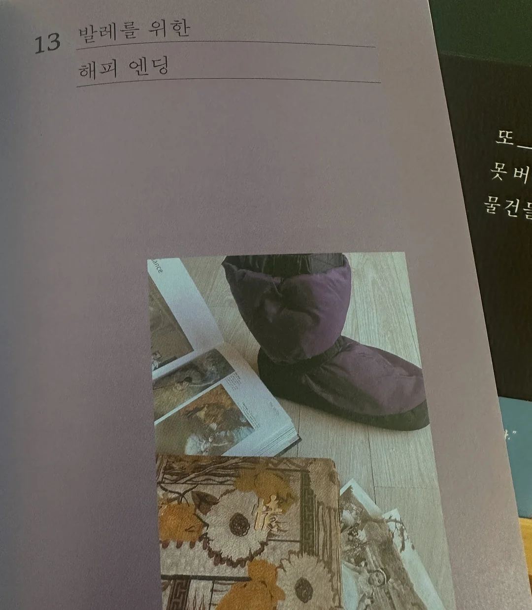 버뮤다팬츠 4