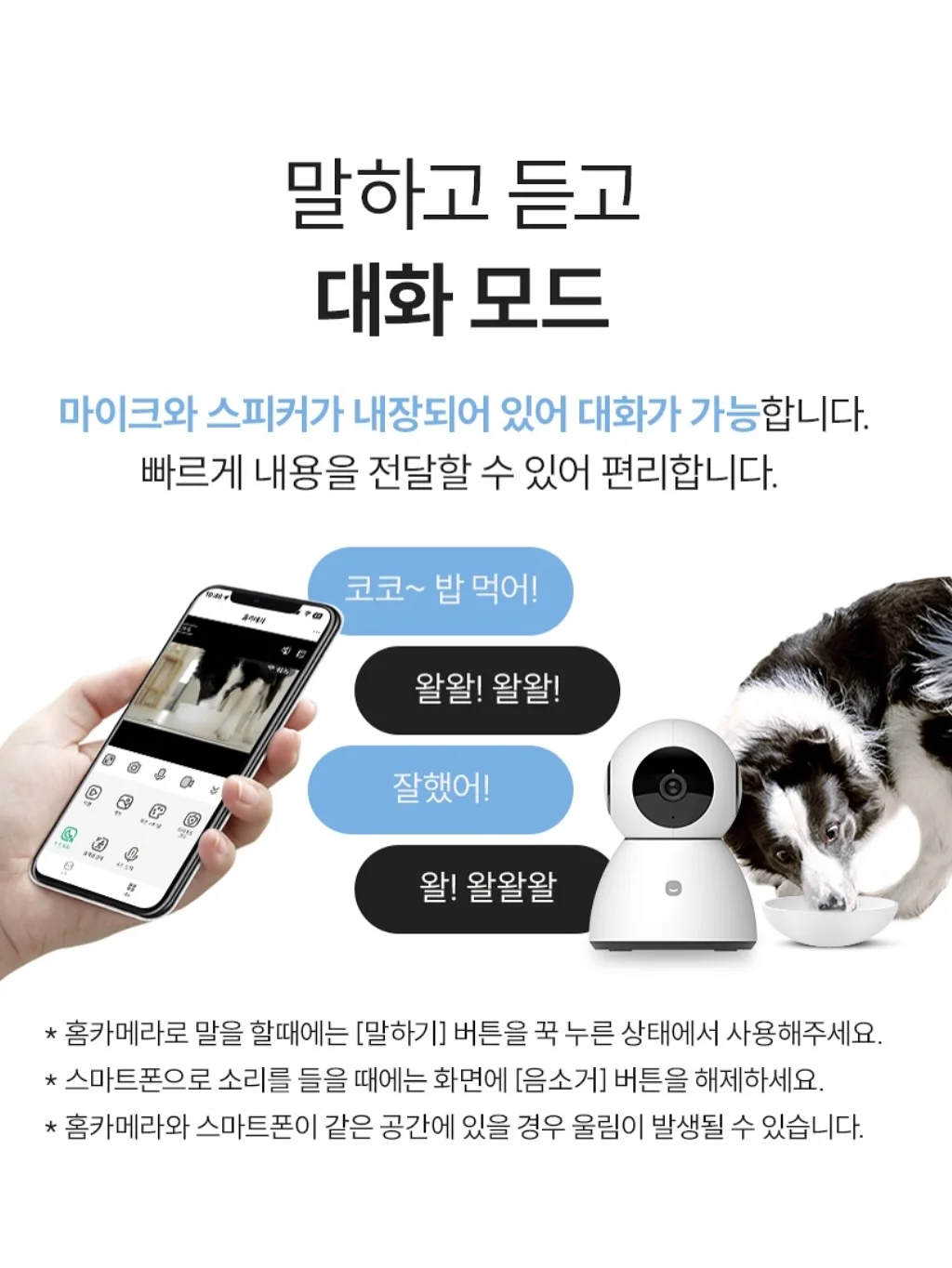 단호박피칸 매먹볼 12
