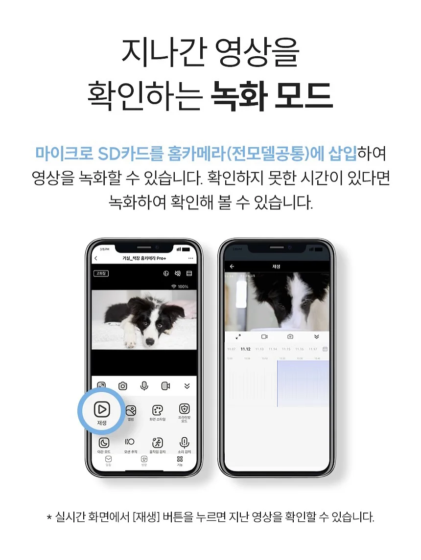 단호박피칸 매먹볼 16