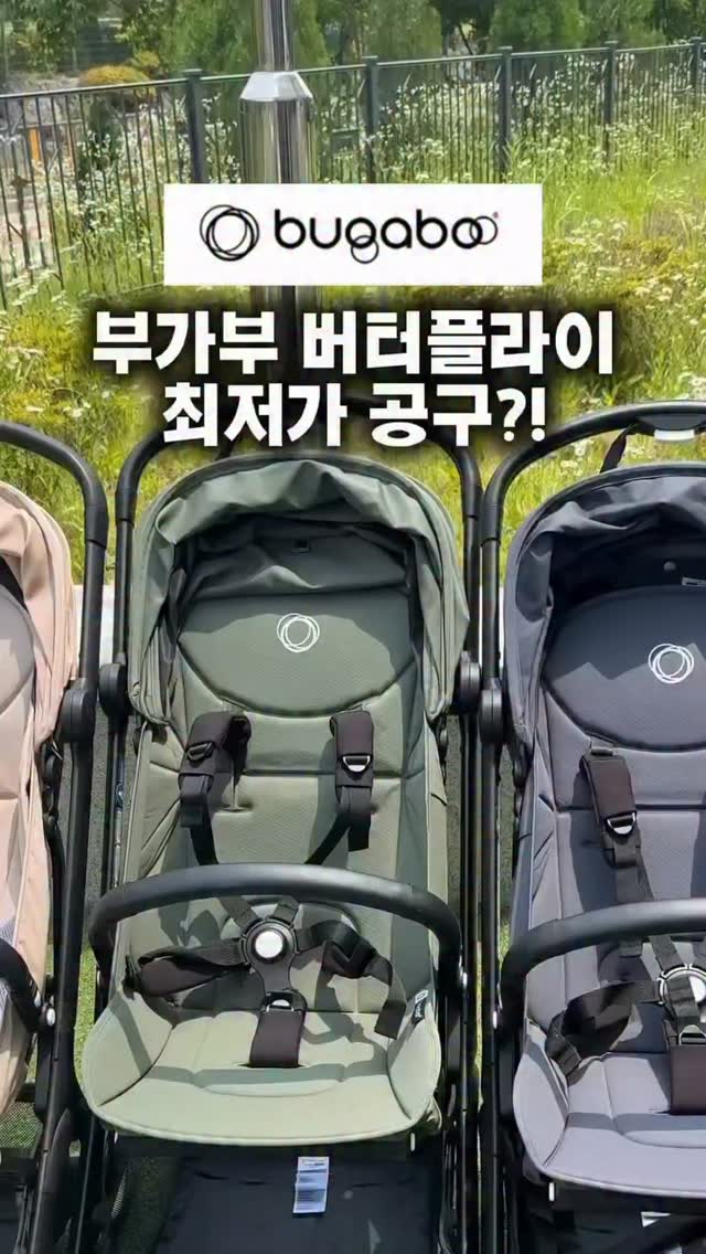 엘레나 여성유산균