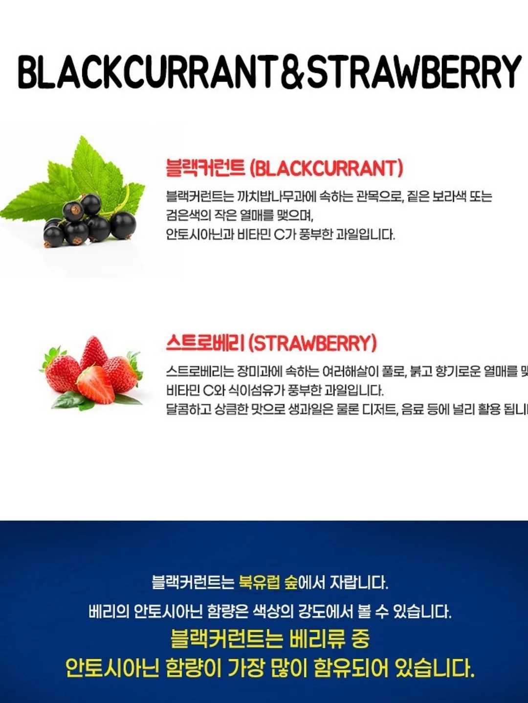 기본 반팔 13
