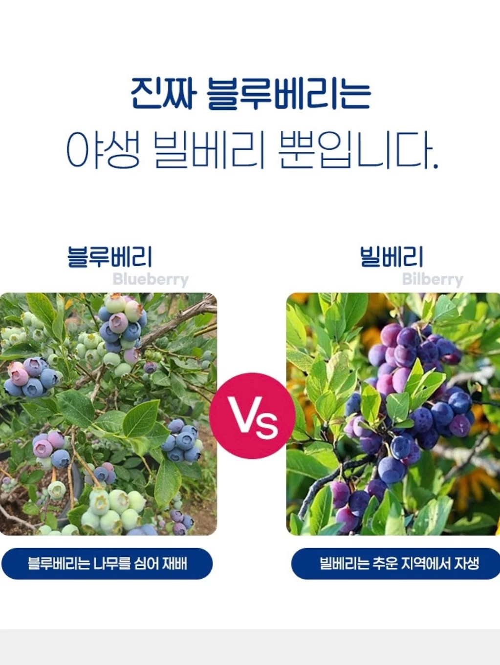 기본 반팔 4