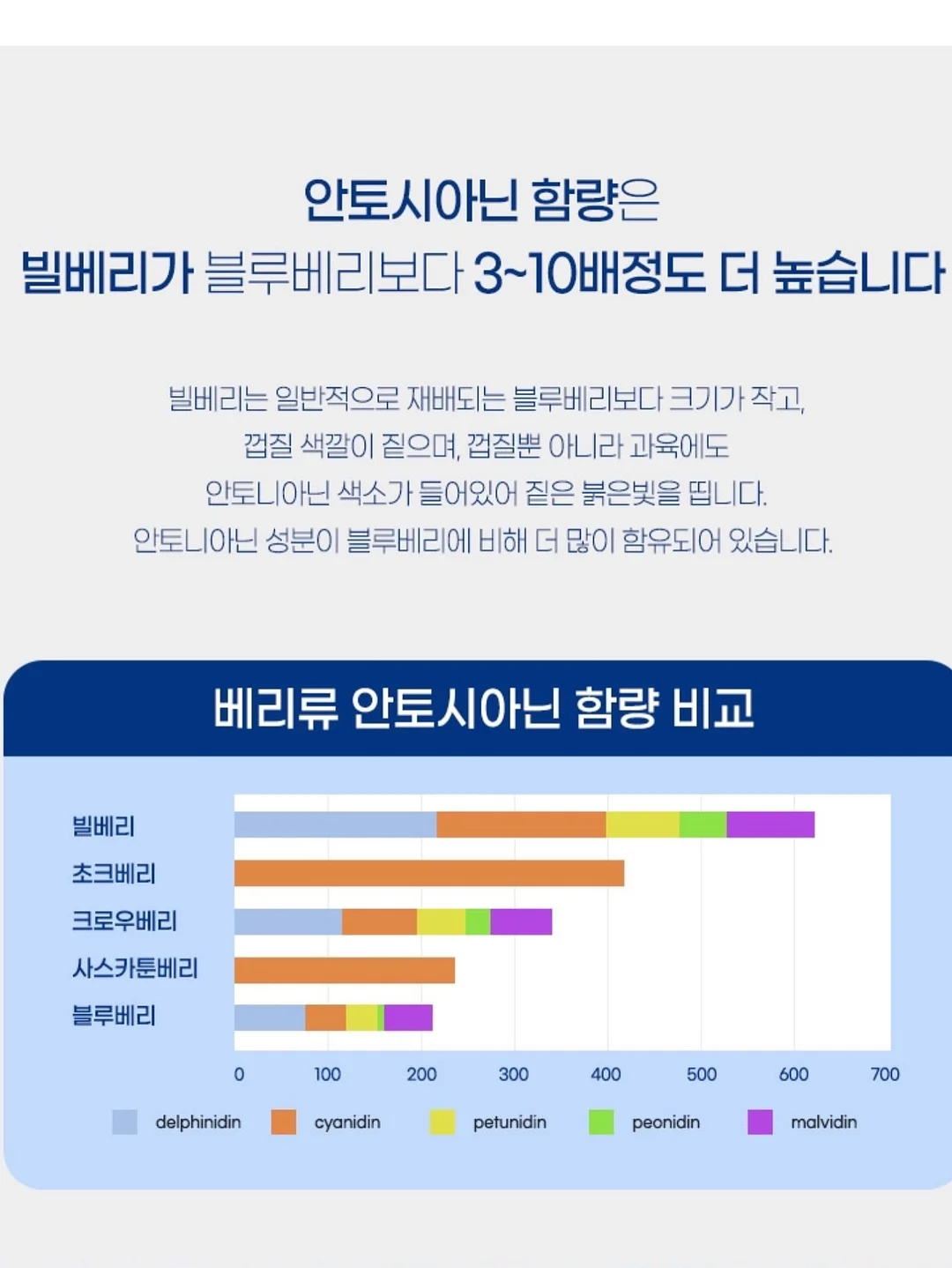 기본 반팔 5