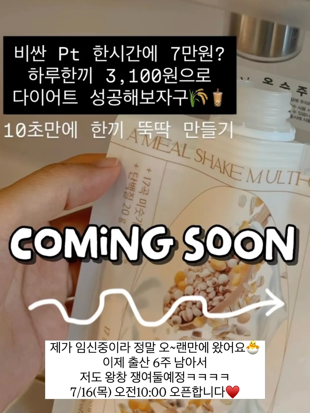 고양이 숨숨집 1