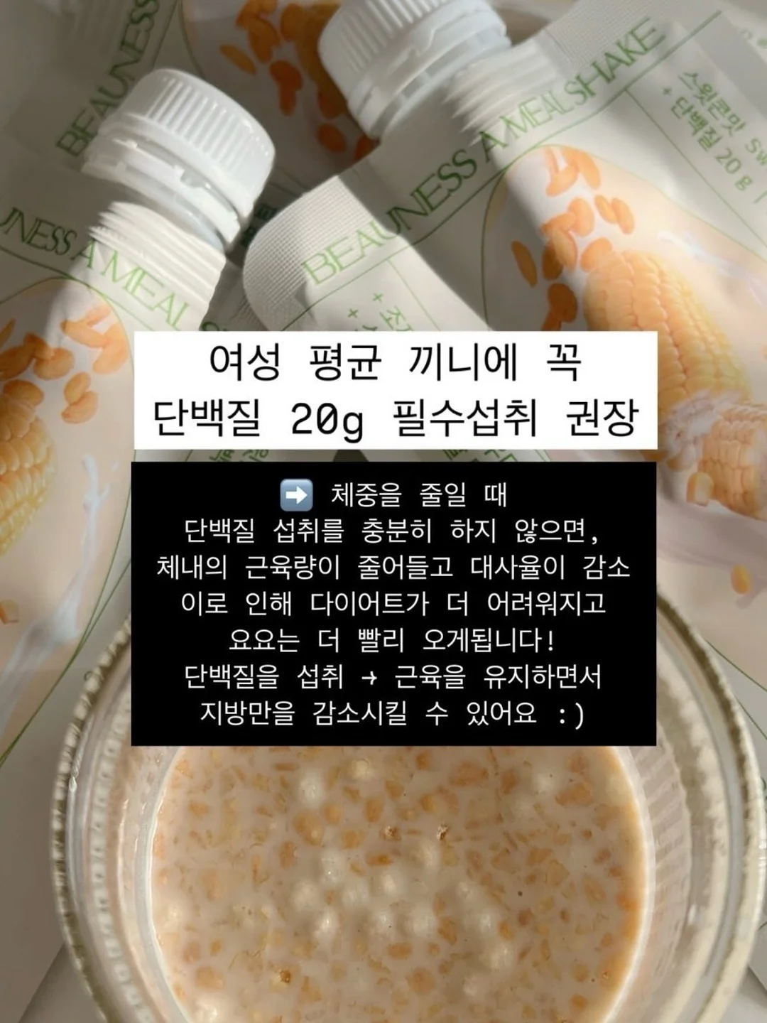 고양이 숨숨집 6