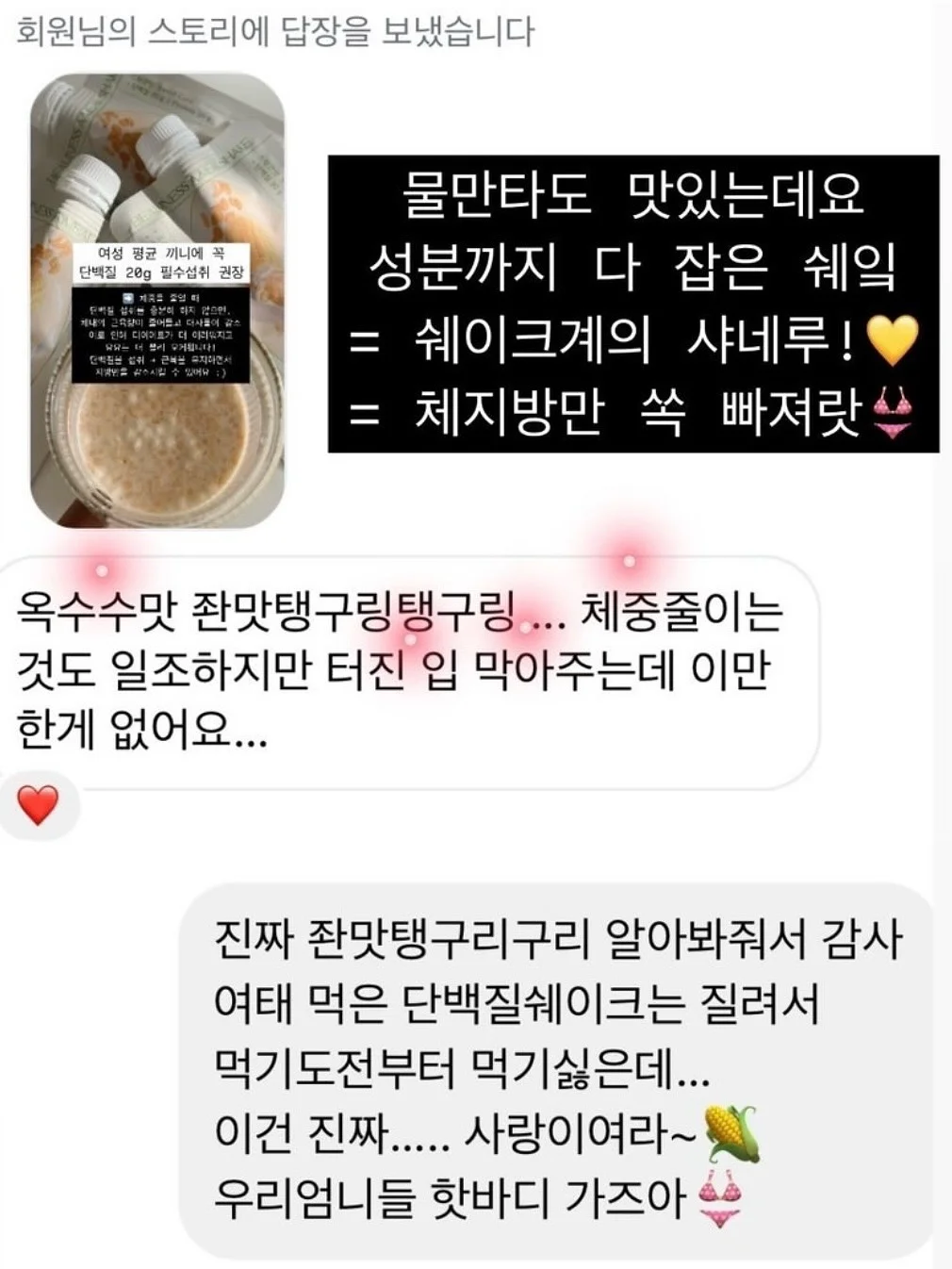 고양이 숨숨집 8
