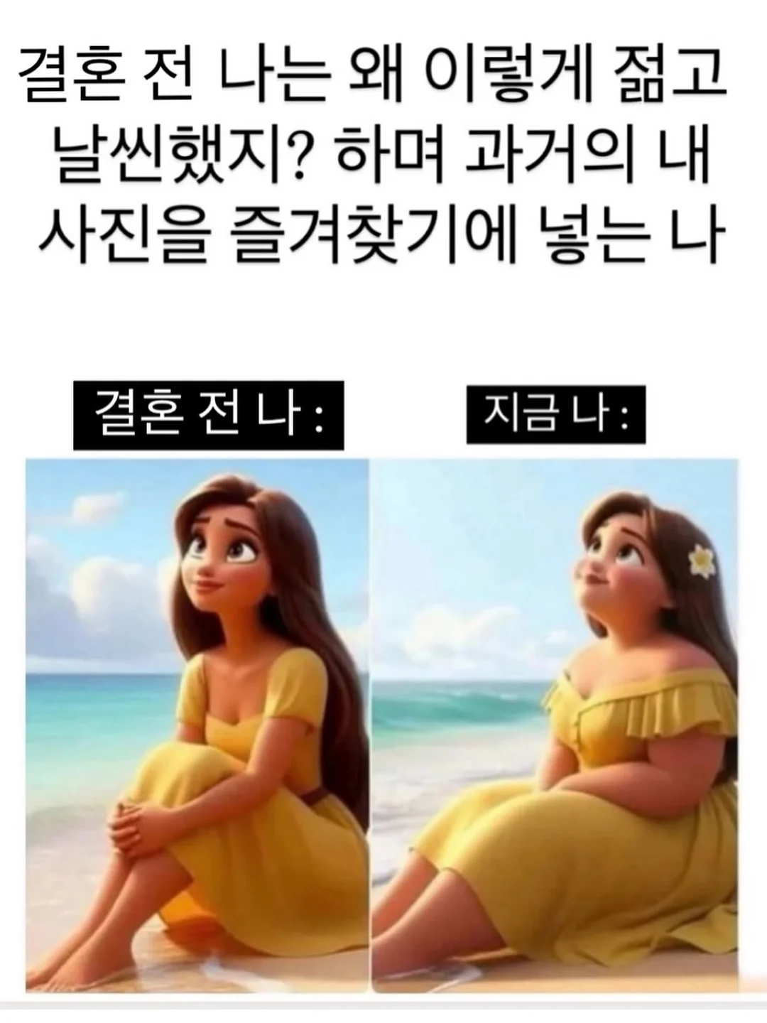 고양이 숨숨집 9
