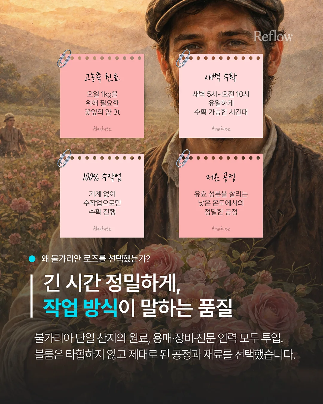 이씨라메종 우디 대자리 러그 16