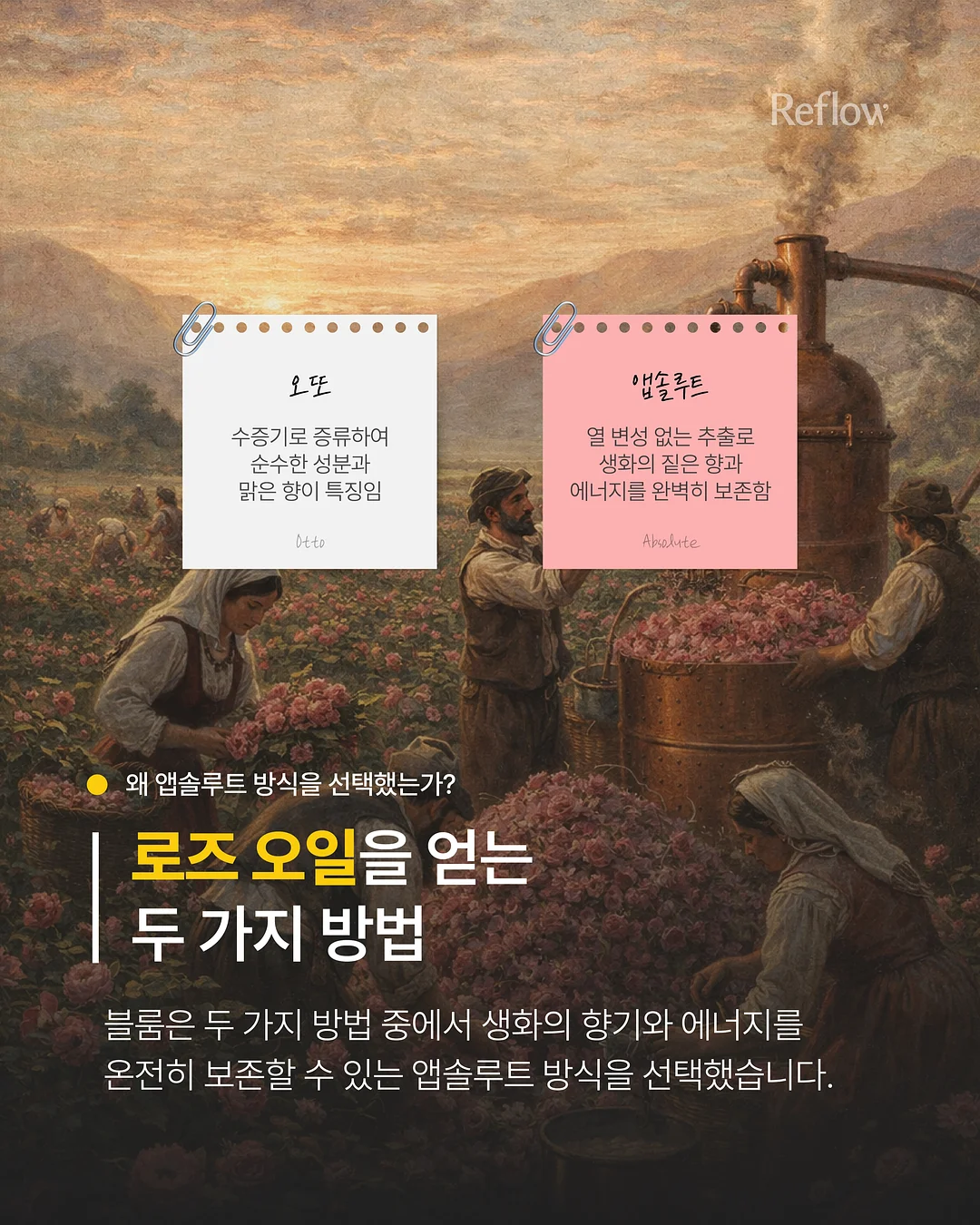 이씨라메종 우디 대자리 러그 17