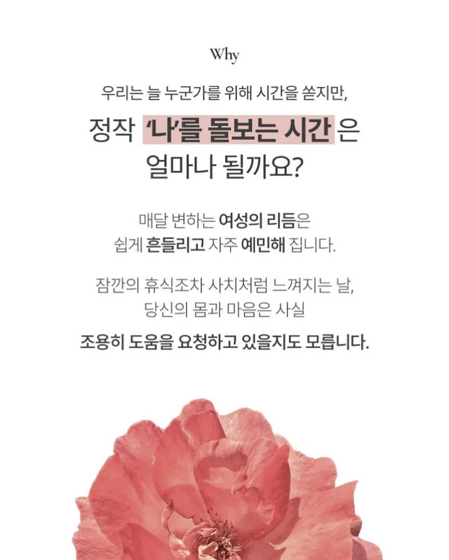 이씨라메종 우디 대자리 러그 8