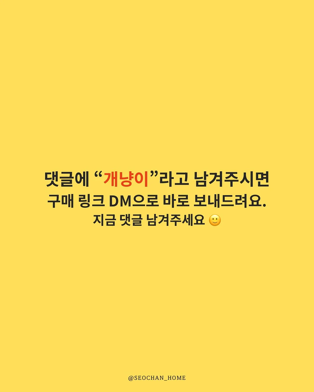 자이언트 진저브레드맨 쿠키 11