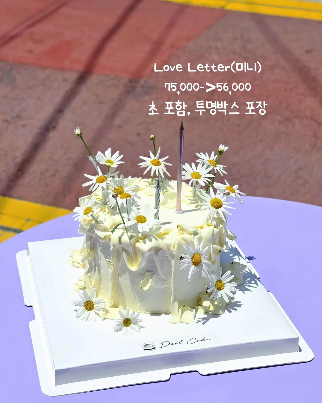 썸머 브라운잔줄 남매룩 4