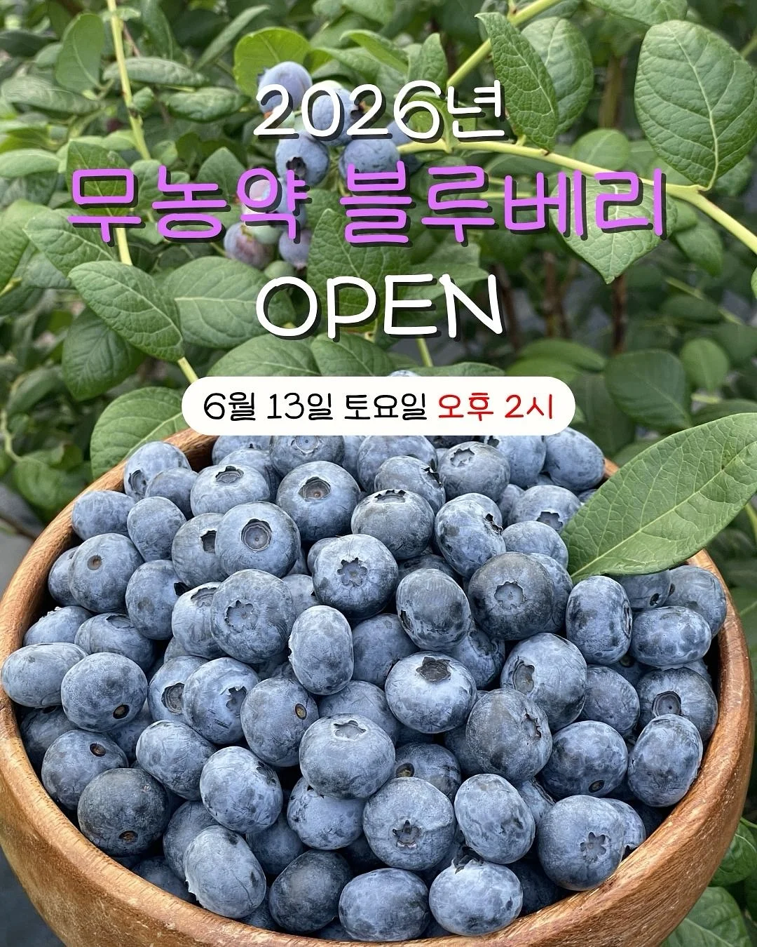 코디 추천 1
