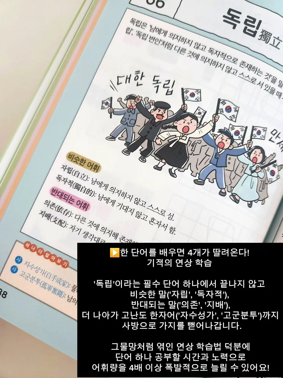 청담 바구니 3