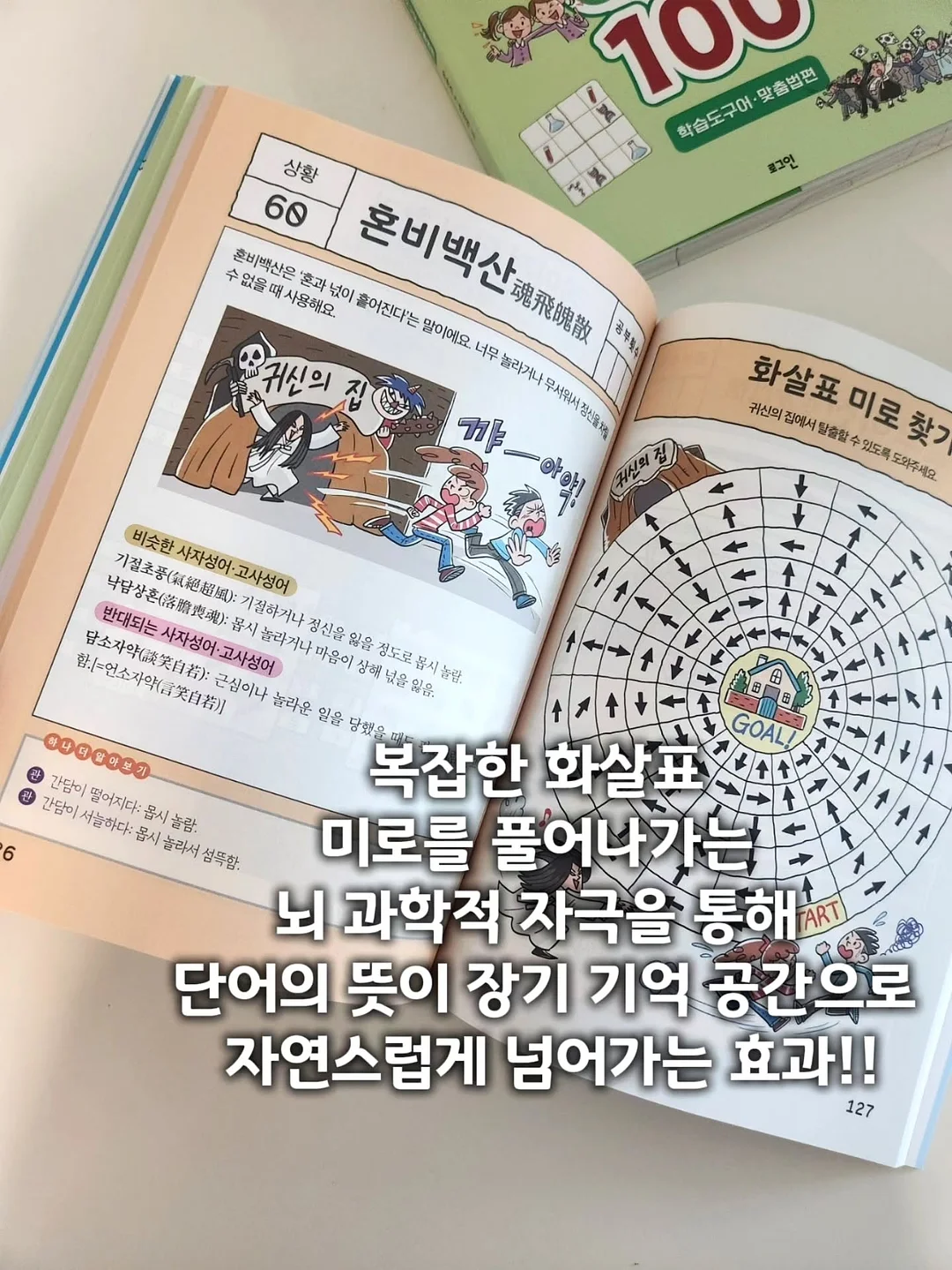 청담 바구니 5