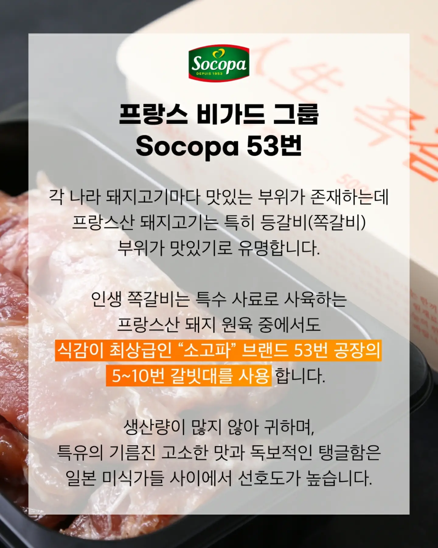 여름 외출복set 5