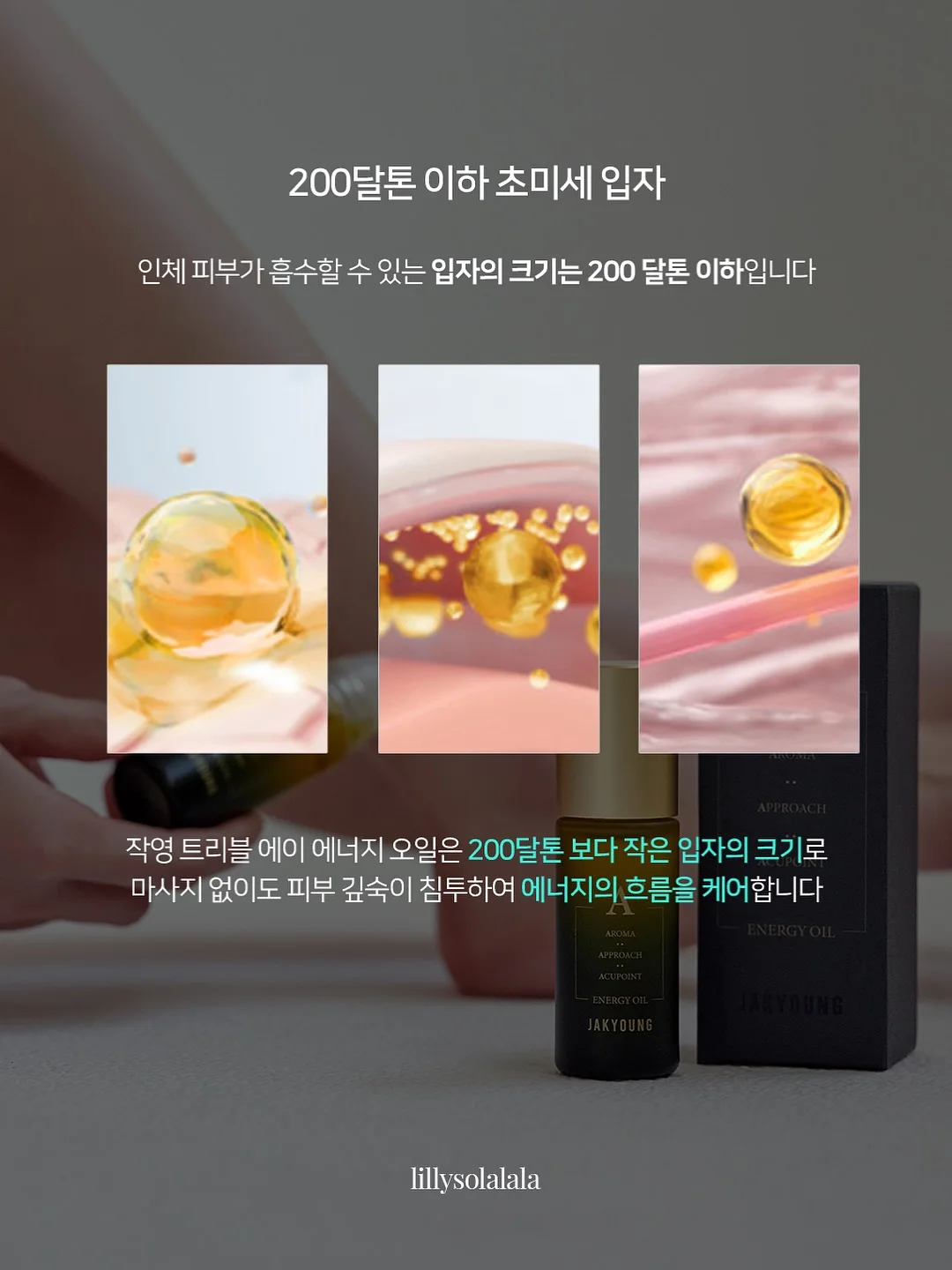 아이폰 스냅 촬영권 5